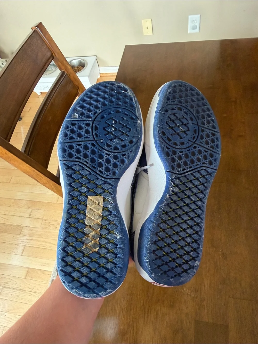 Vans Blue and White Skate Sneakers
